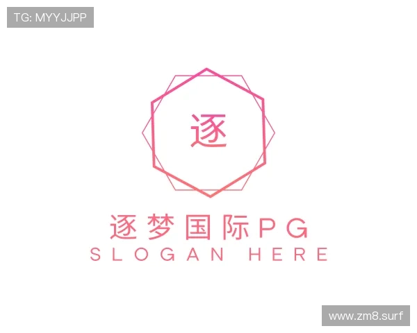 导引逐梦国际pg